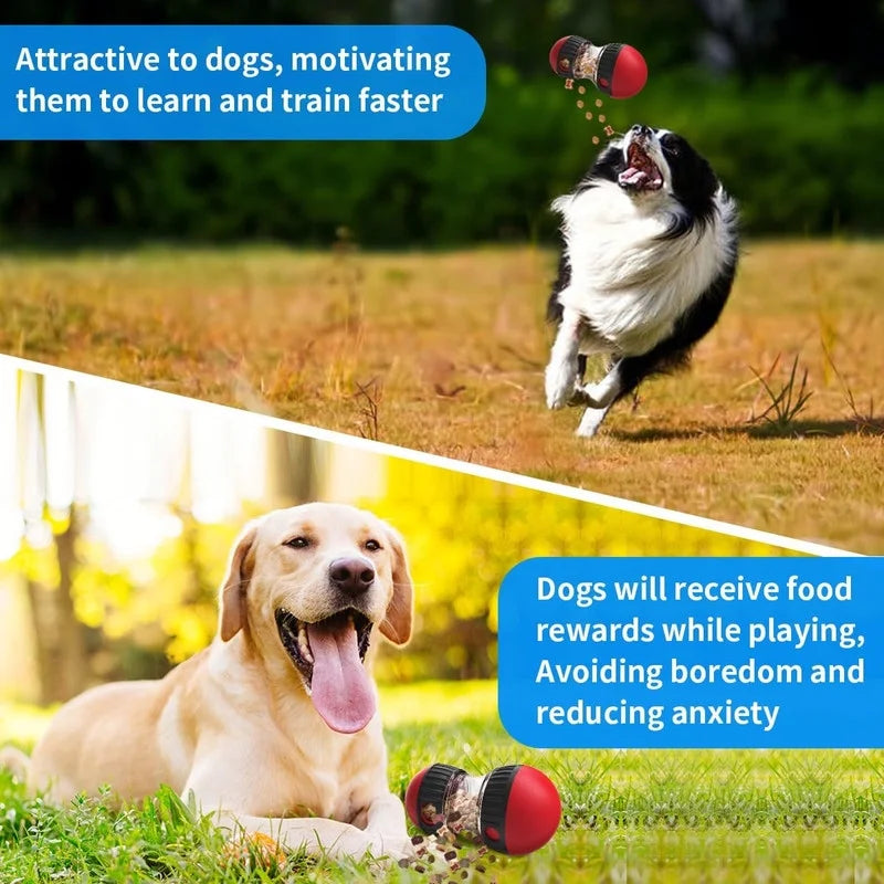 Dog Puzzle Toys - Treat Dispensing Mental Enrichment Ball for Busy Dogs, Slow Feeder to Stimulate Brain & Reduce Anxiety, Interactive Rolling Toy